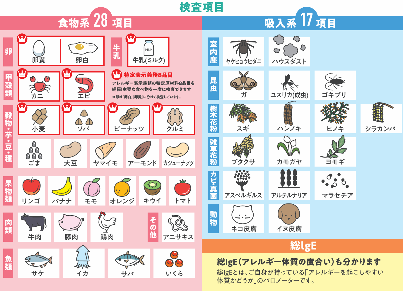 お子さま向けアレルギー検査｜指先からの微量採血